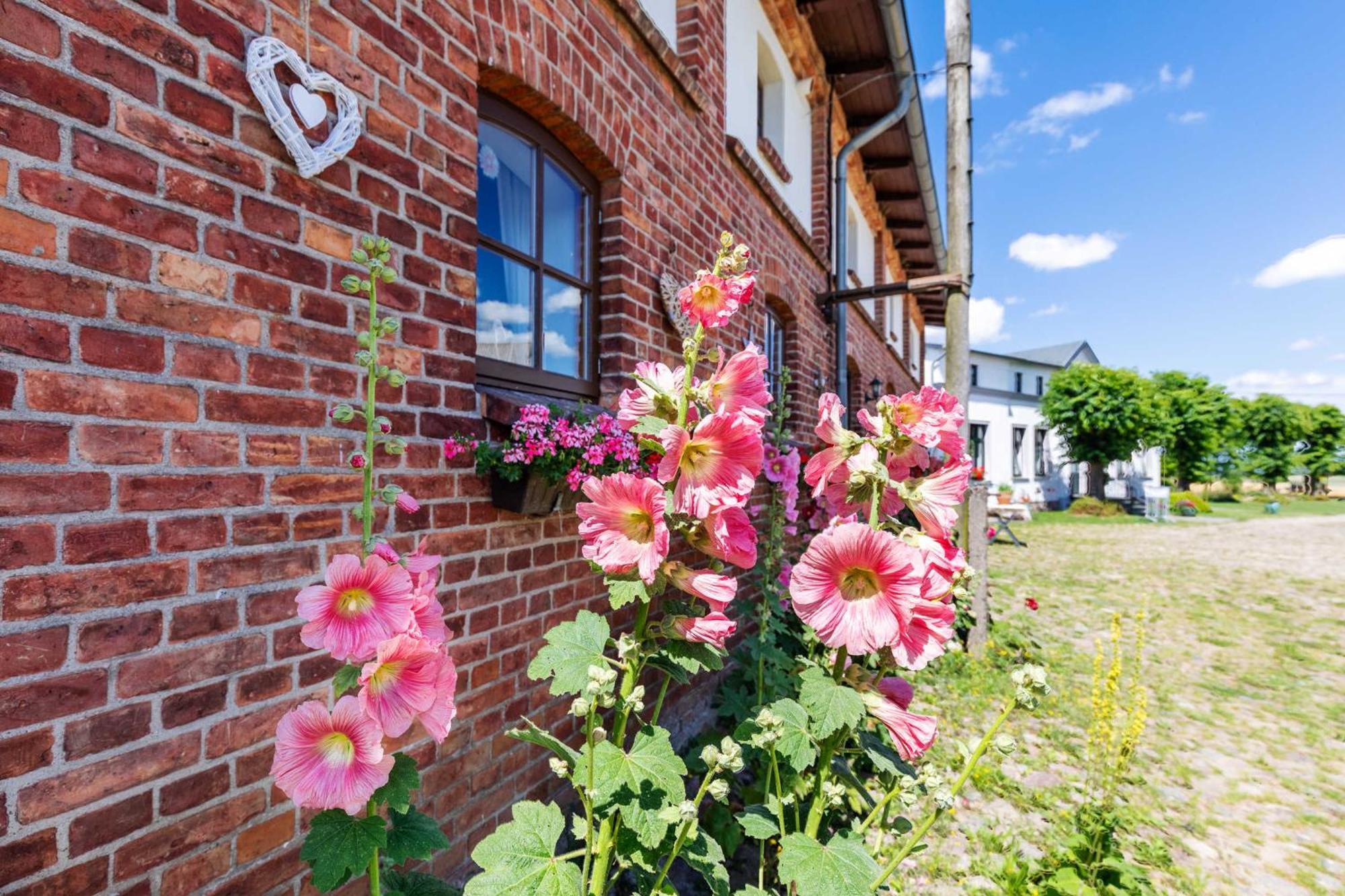 Farm stay Ostsee Bauernhof Schwalbennest Ofc 15 *